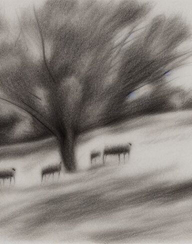 A drawing of sheep and trees in rural area