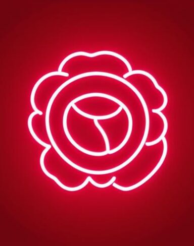 The flower symbol neon sign on a wall