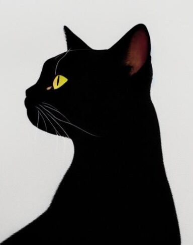 A black cat on a white background