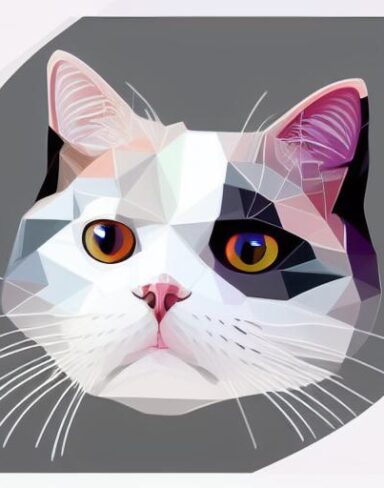 A close up of a cat’s face on a white background