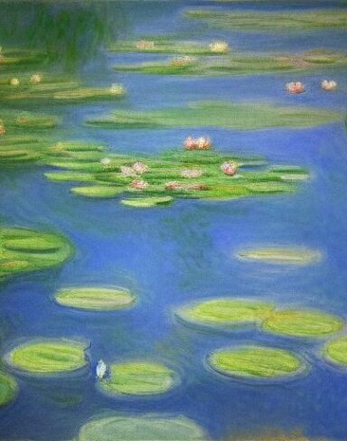 Color painting of water lilies in a pond of water