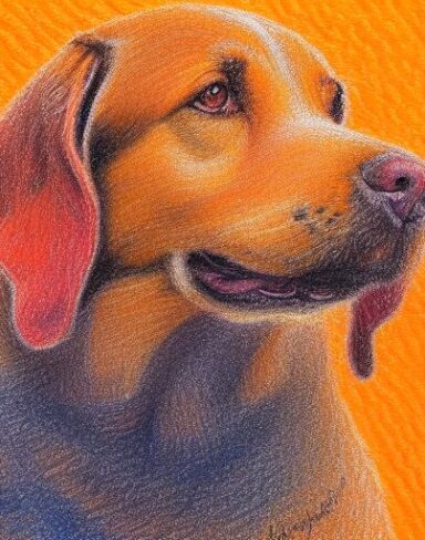 A close up of a painting of a dog with orange background