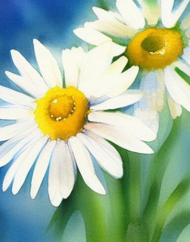 A watercolor painting of white daisies