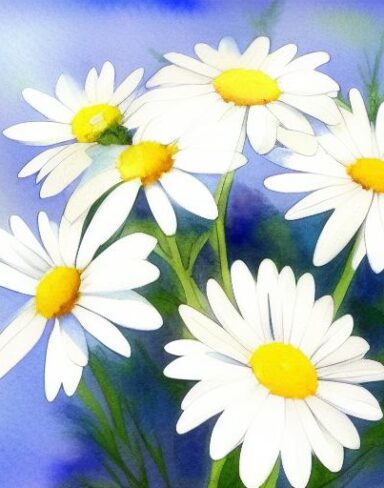A watercolor painting of white daisies flowers
