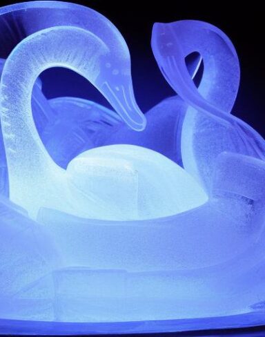An tranquil ice sculpture of two glowing ice-made swans on a wave