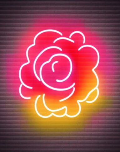 A flower neon sign on a wall