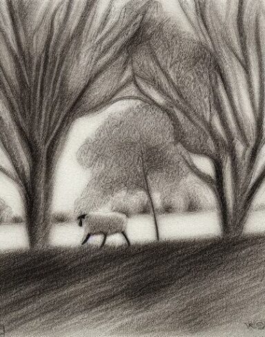 Black and white drawing of sheep and trees in rural