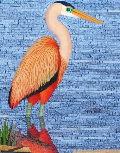 The bird standing in the water