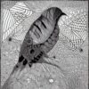A black and white drawing of a bird A black and white drawing of a bird