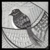 A black and white drawing of a bird A black and white drawing of a bird