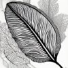 A black and white drawing of a leaf A black and white drawing of a leaf