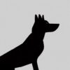 A black dog on a white background A black dog on a white background