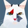 A close up of a cat’s face on a white background A close up of a cat’s face on a white background