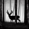 A black and white silhouette of a deer in a forest A black and white silhouette of a deer in a forest