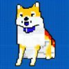 A dog with sitting with blue background A dog with sitting with blue background