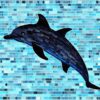 A dolphin swimming A dolphin swimming