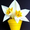 A paper daffodils in one pot A paper daffodils in one pot