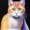 Crayon drawing of a cat Crayon drawing of a cat