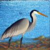 One bird that is standing in the water One bird that is standing in the water