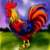 The watercolor painting of a rooster The watercolor painting of a rooster